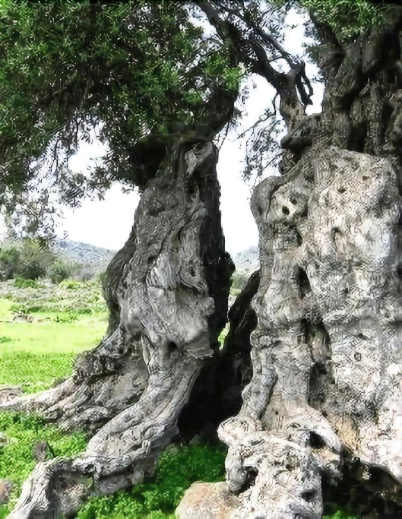 Corte Dei Nonni Презичче Экстерьер фото